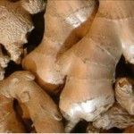 Huile essentielle de gingembre (Zingiber officinalis)