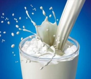 Produits laitiers, lactose