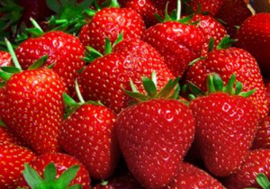 Étude scientifique et bienfaits des fraises