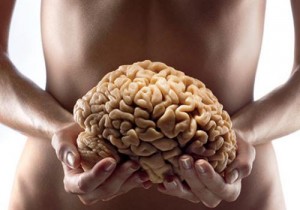 Intestin : second cerveau