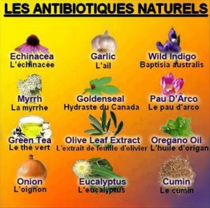 Antibiotiques naturels