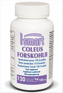Coleus Forskohlii 100 mg Extrait standardisé 10% forskoline
