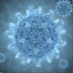 Rotavirus gastro-entérite