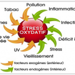 Stress oxydatif