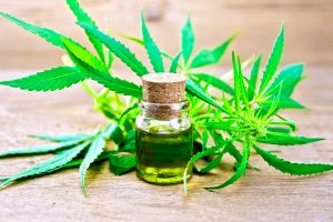 Huile essentielle de Cannabis sativa
