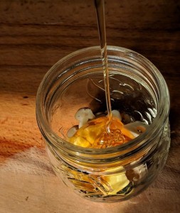 Racine de pissenlit infusée dans le miel