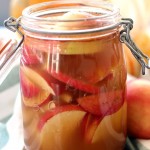 Probiotique de Pommes à la Cannelle de Ceylan